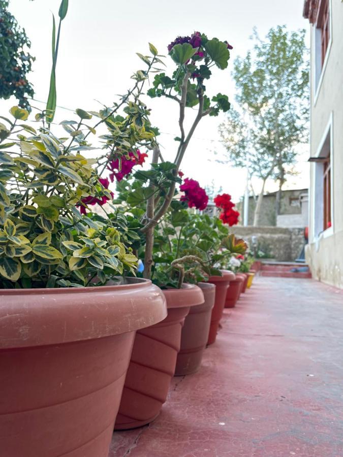 Gaywoo Guest House Leh Zewnętrze zdjęcie