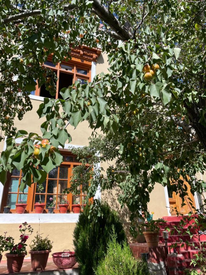 Gaywoo Guest House Leh Zewnętrze zdjęcie