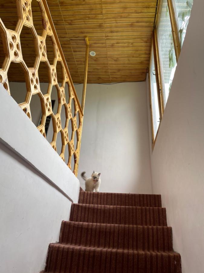 Gaywoo Guest House Leh Zewnętrze zdjęcie