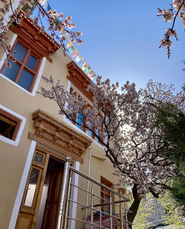 Gaywoo Guest House Leh Zewnętrze zdjęcie